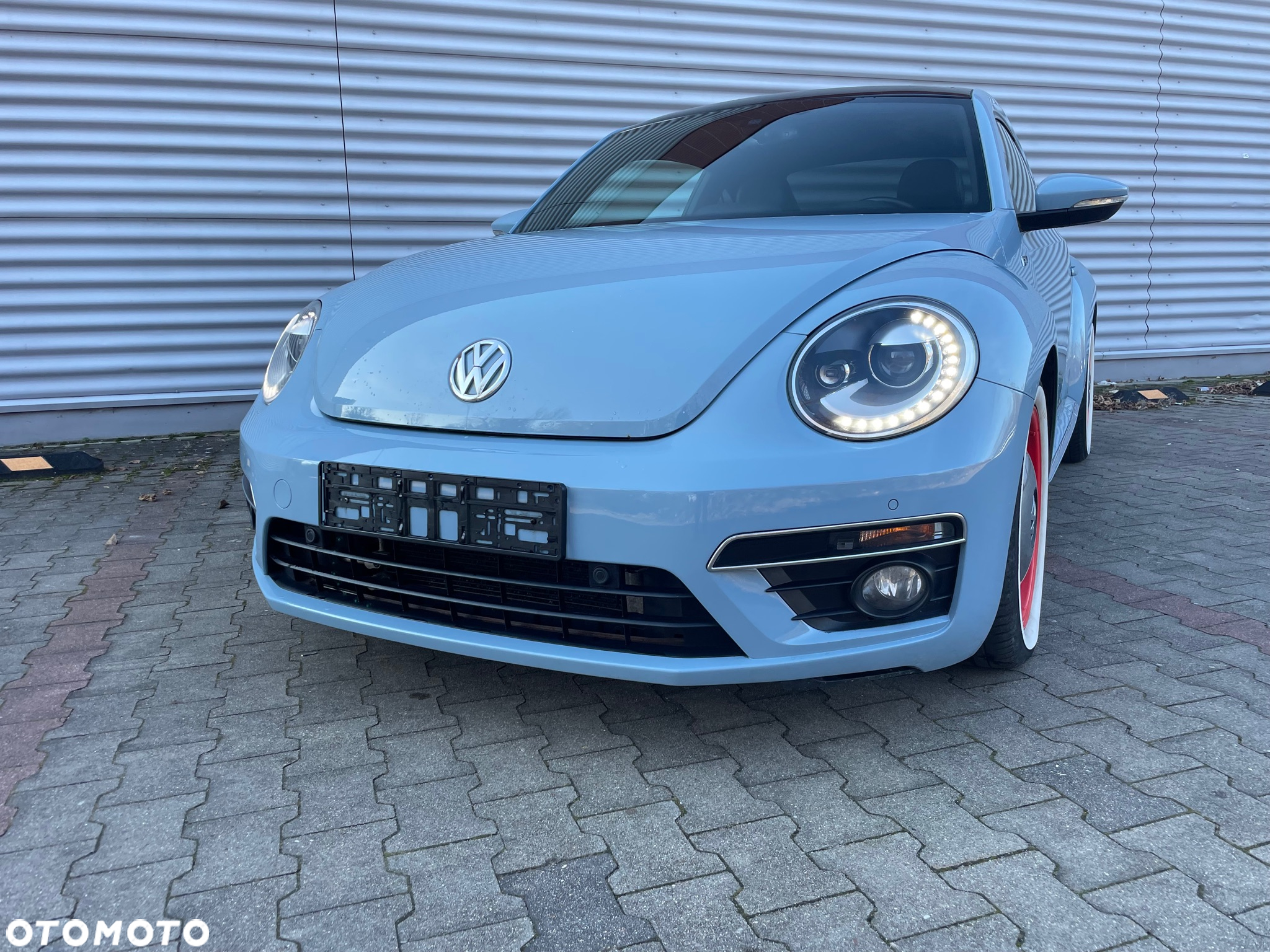 Volkswagen New Beetle - 8