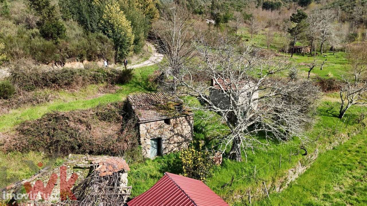 Quinta com 3 hectares com ribeiro e poço de água - Grande imagem: 2/23