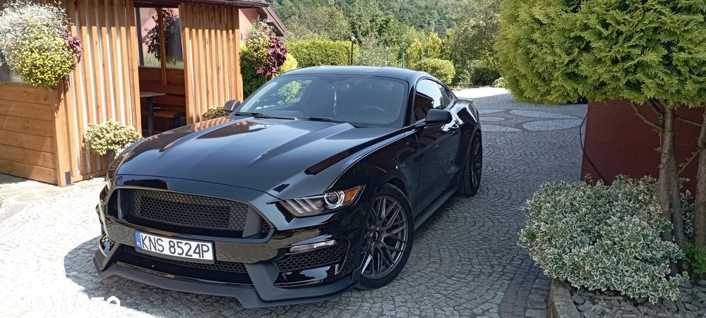 Ford Mustang 3.7 V6 - 1
