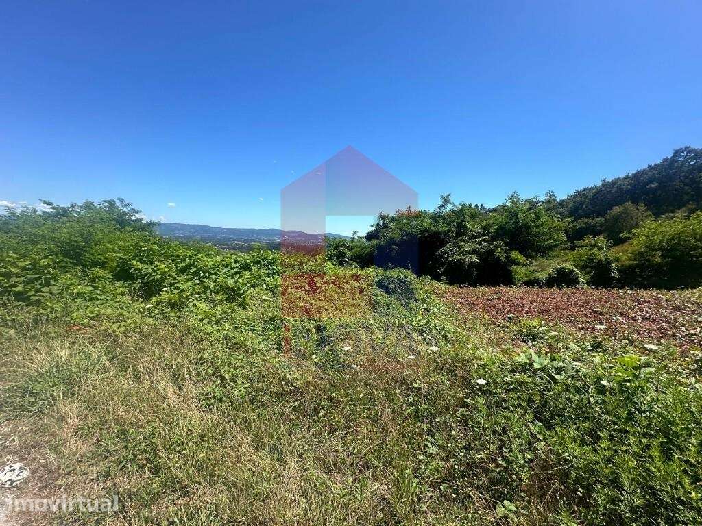 Terreno florestal, Esqueiros - Grande imagem: 2/17