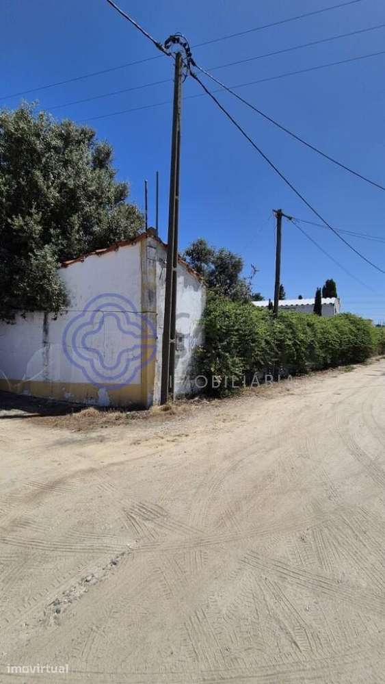 Terreno com armazém - Grande imagem: 4/13