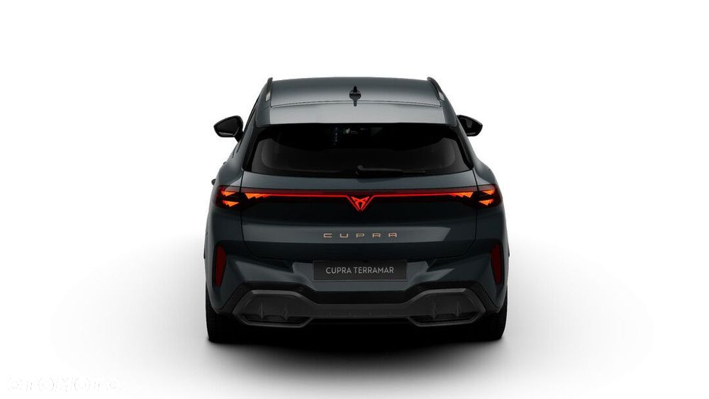 Cupra Terramar - 4