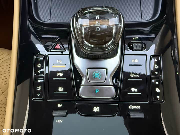 Denza D9 - 21