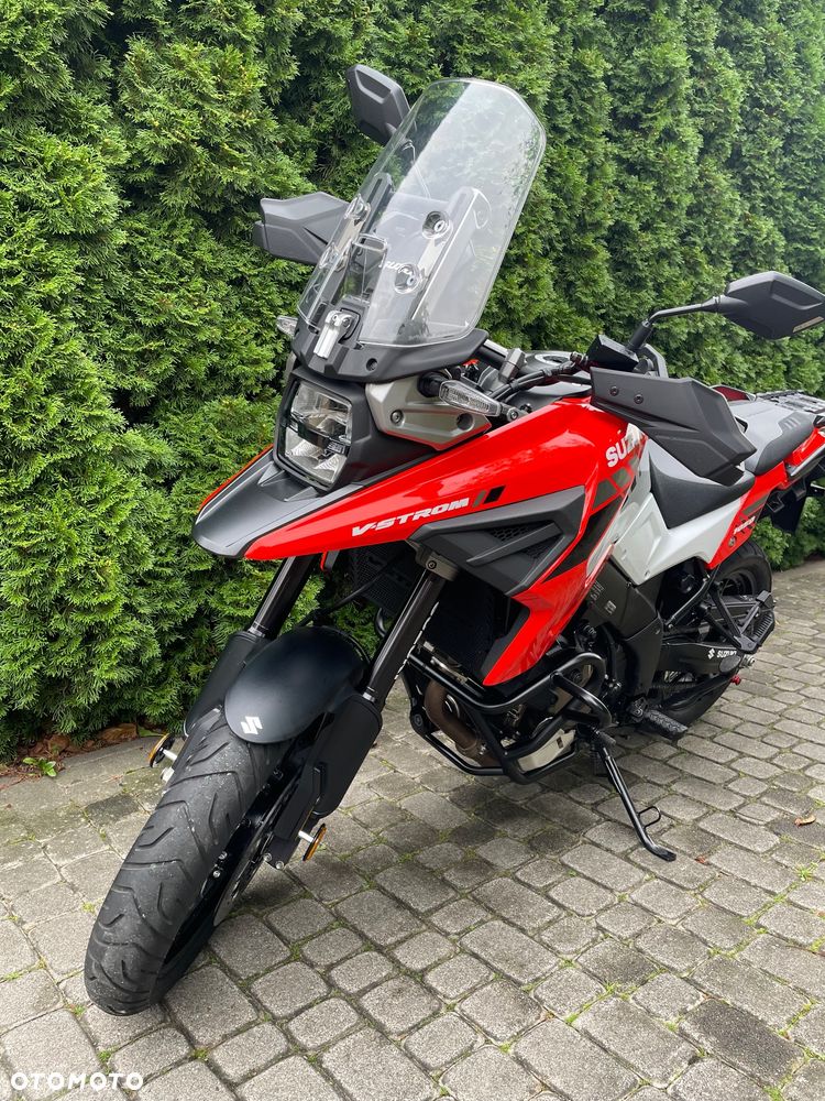 Suzuki DL - 19