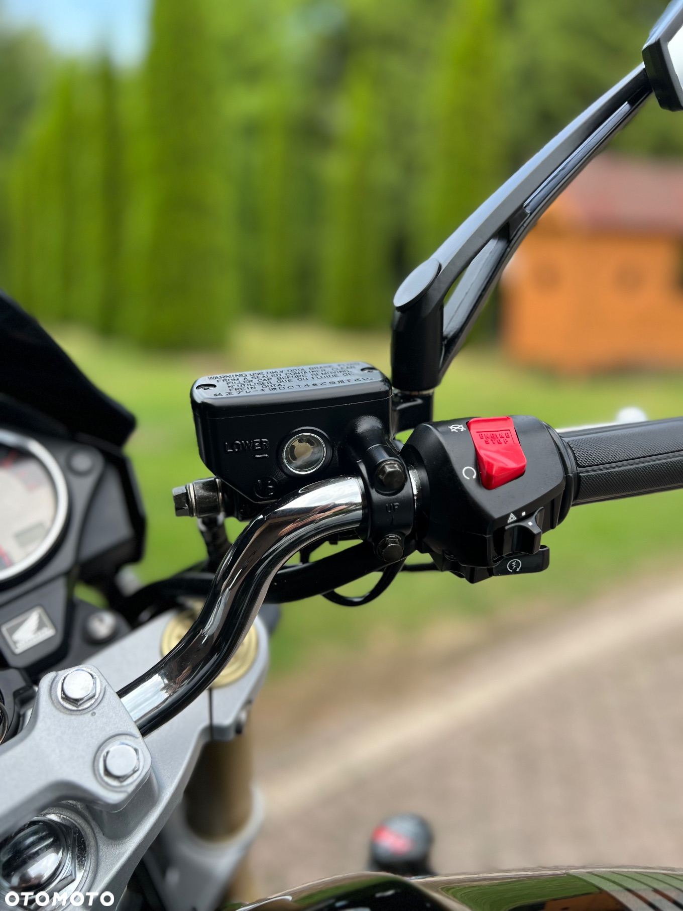 Honda Hornet - 9