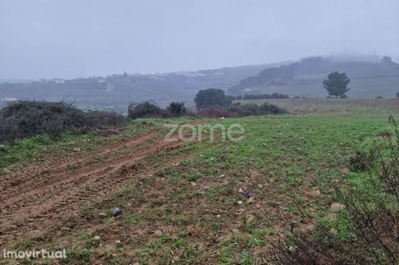 Terreno rústico , Murça - Grande imagem: 5/9