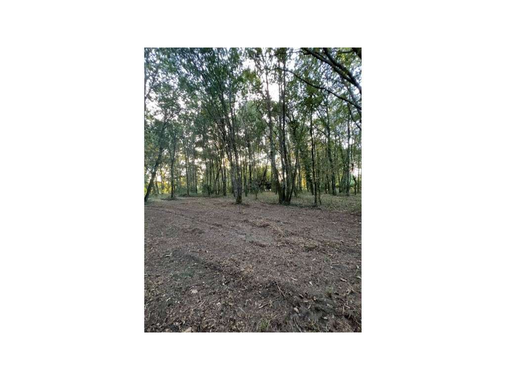 Terreno em Fragoso - Barcelos - Grande imagem: 3/17