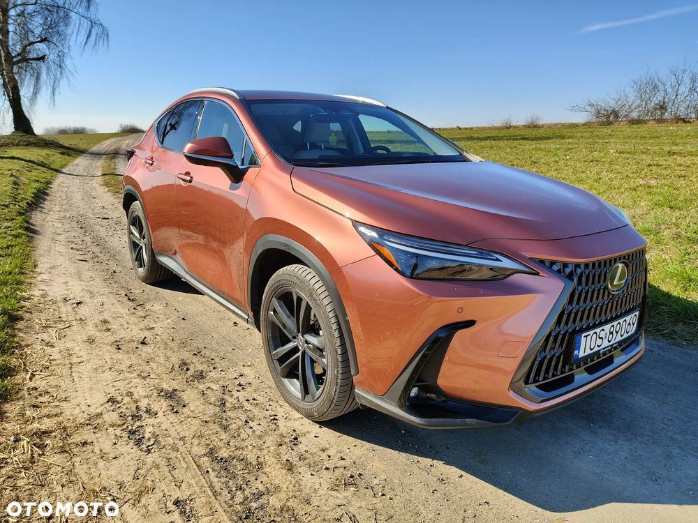 Lexus NX - 3