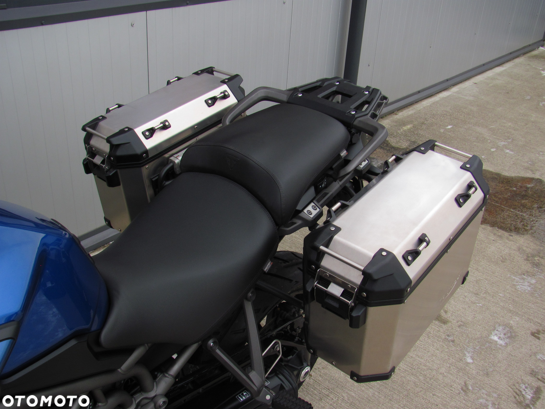 Triumph Tiger - 29