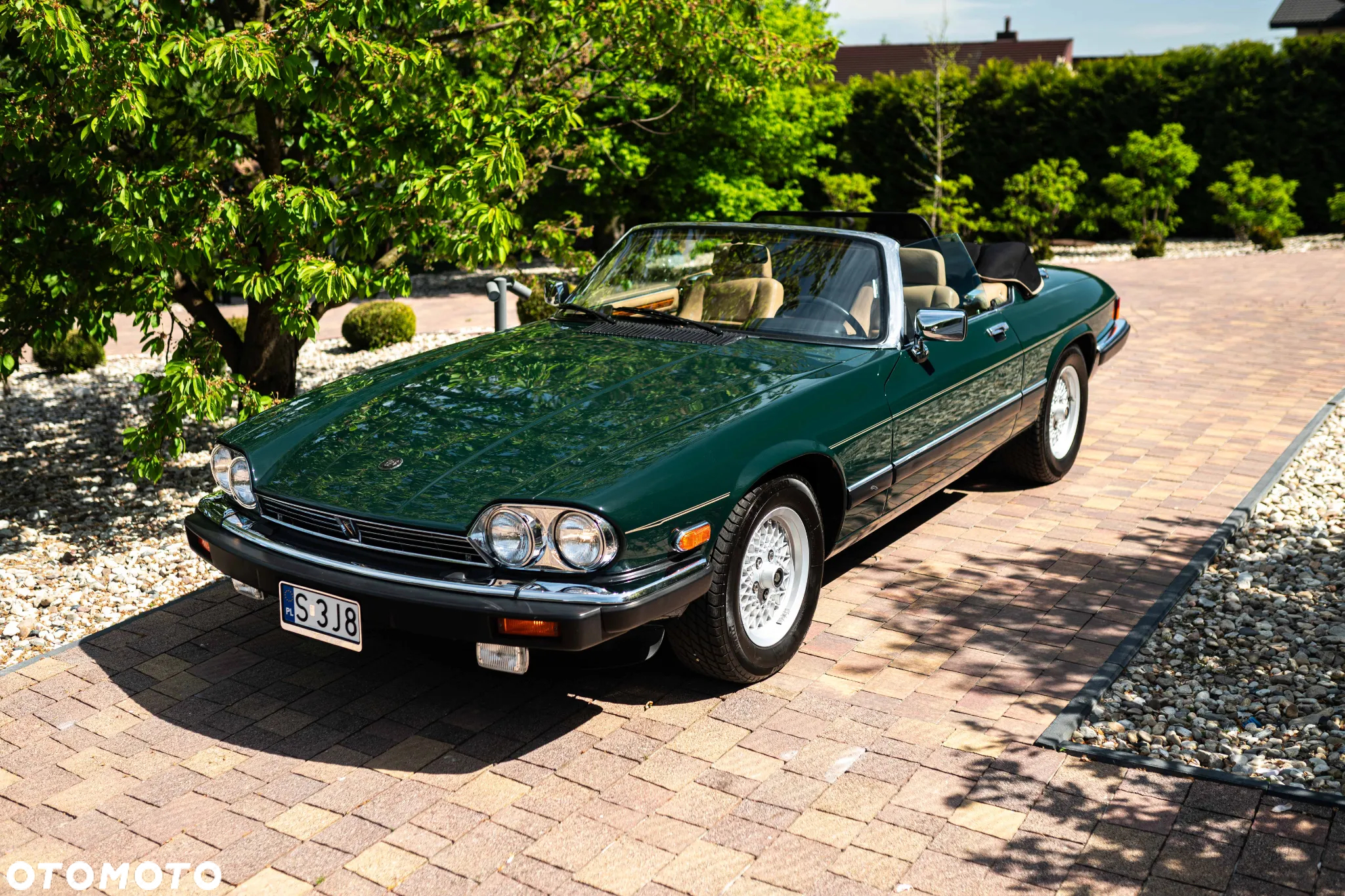 Jaguar XJS - 18
