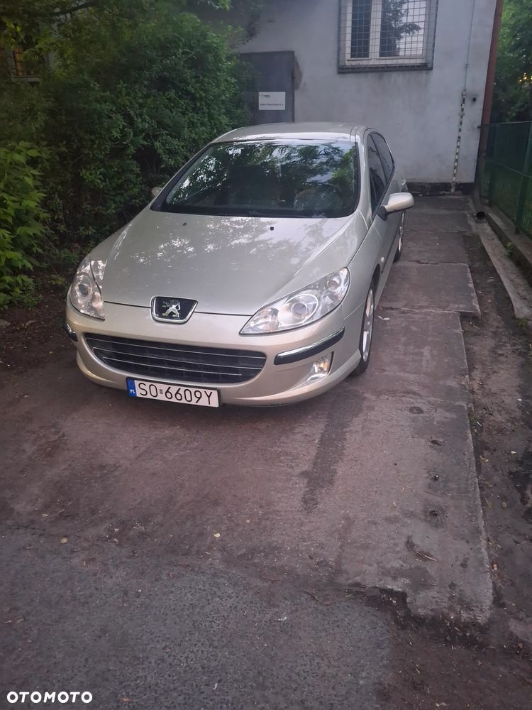 Peugeot 407 115 Esplanade - 3