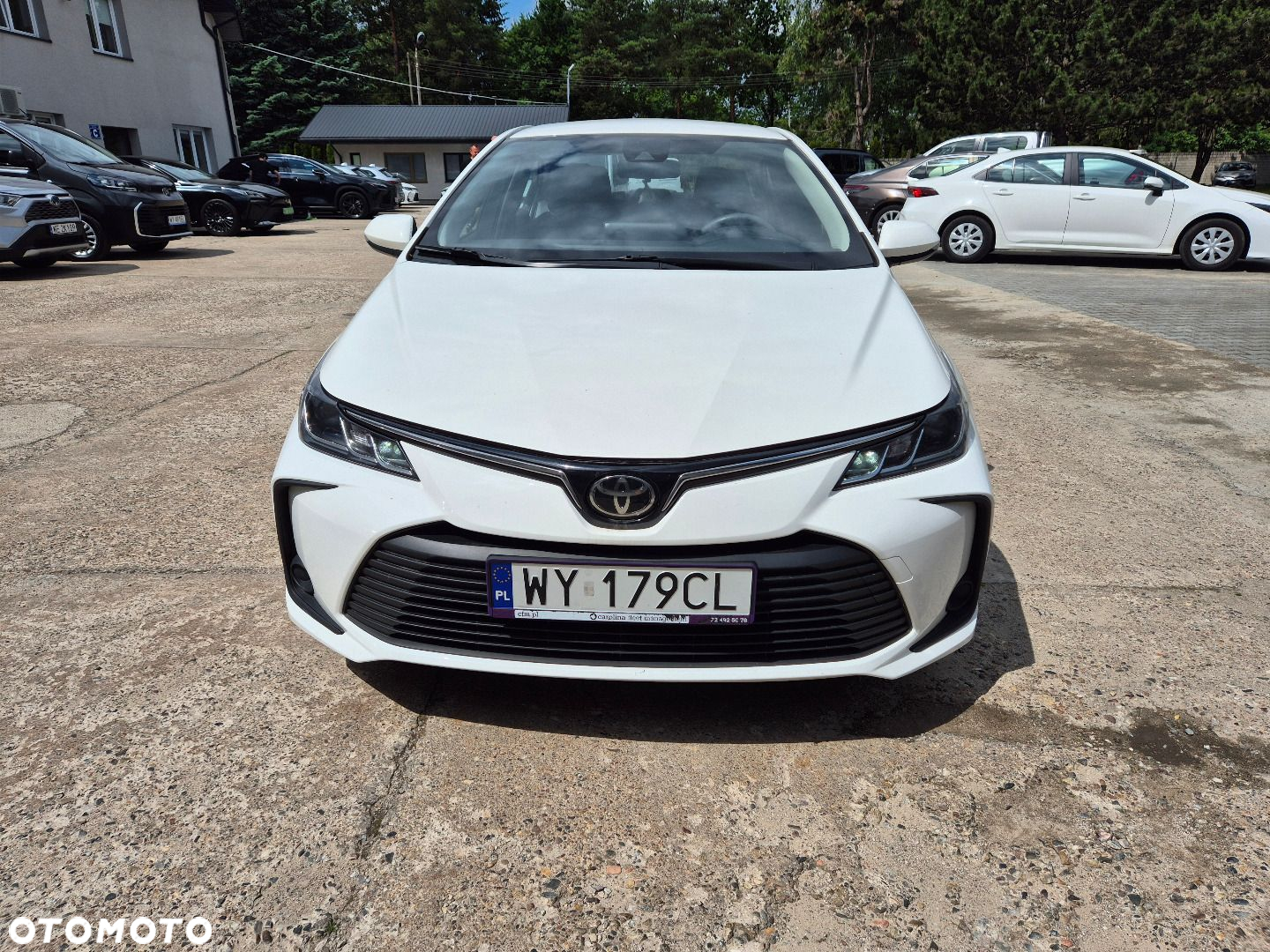 Toyota Corolla - 6