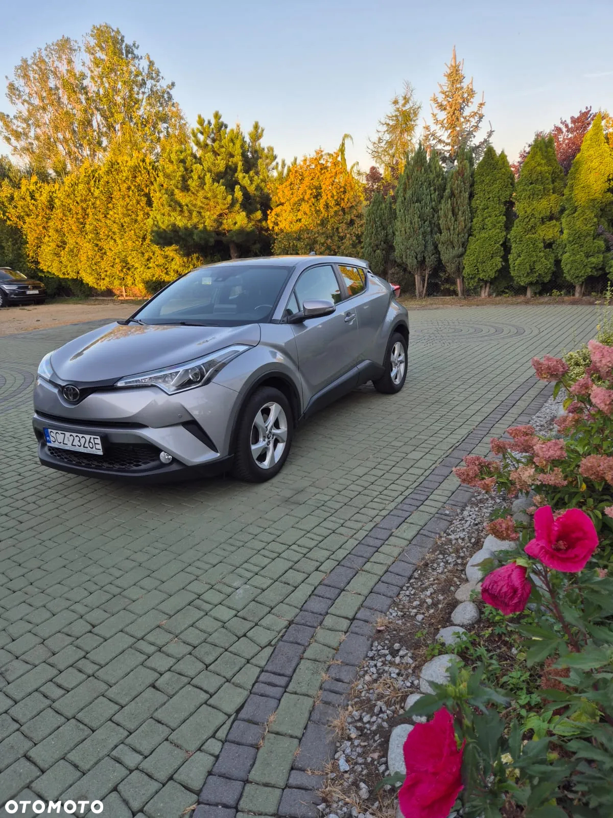Toyota C-HR 1.2 T Dynamic - 8