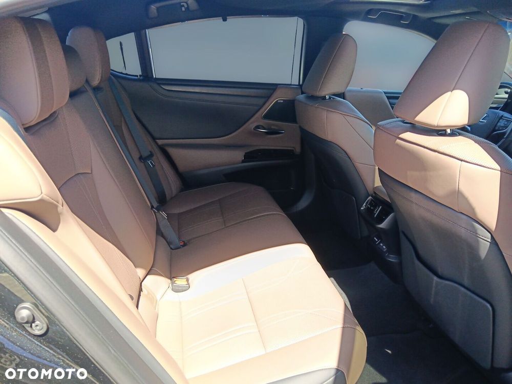 Lexus ES 300h Omotenashi - 16