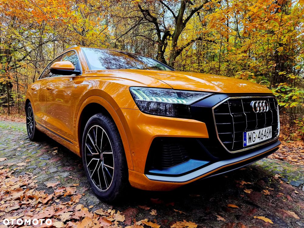 Audi Q8 - 13
