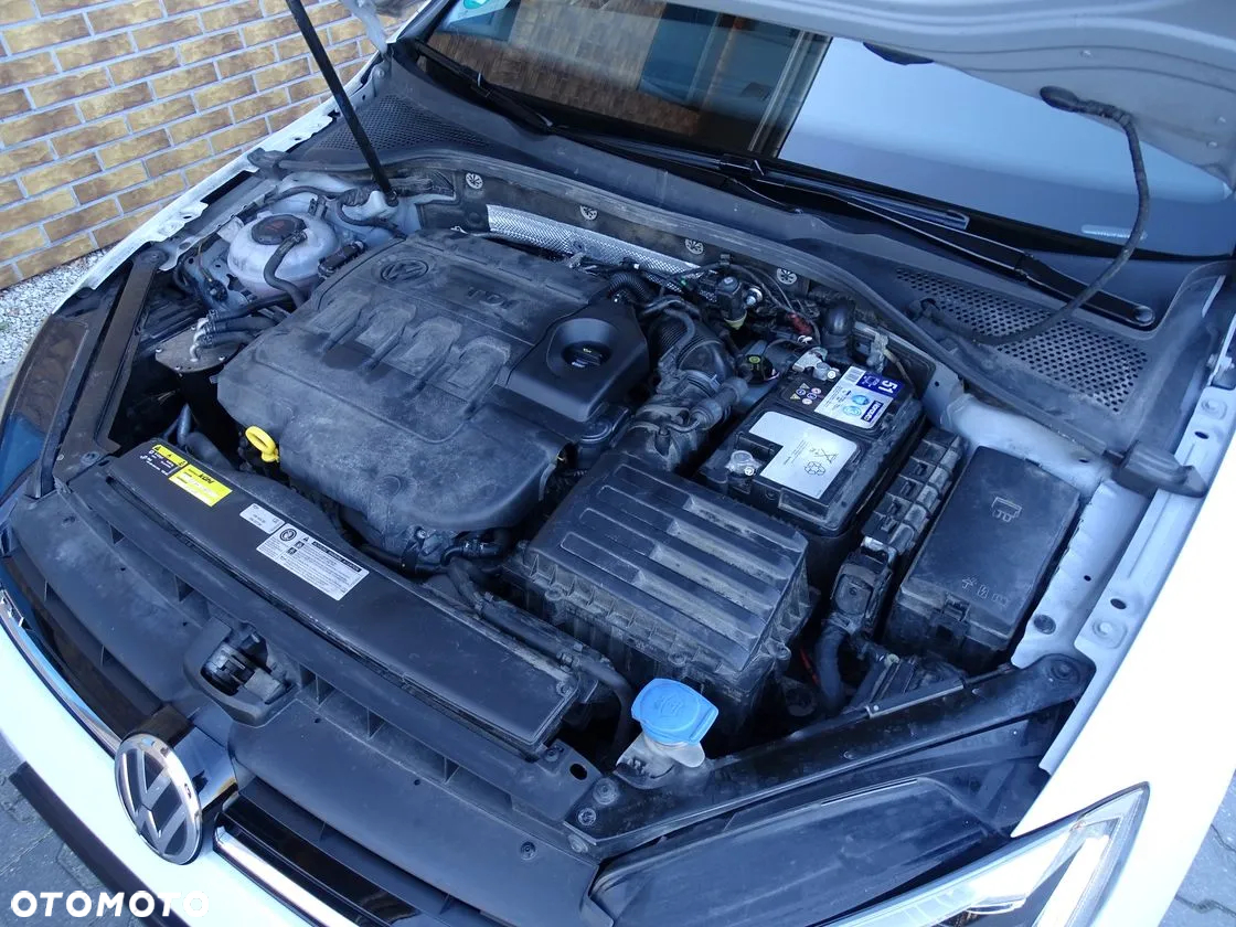 Volkswagen Golf - 37