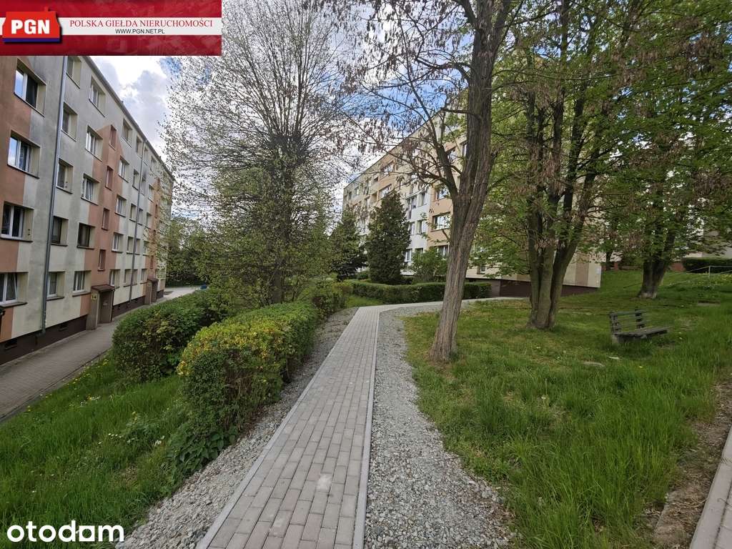 Mieszkanie 2 pokojowe, 38 m² – Nowa Ruda