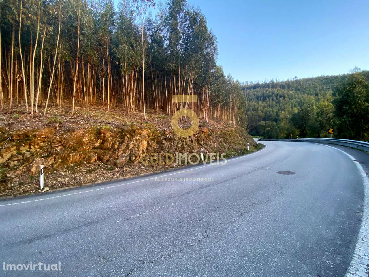 Terreno Florestal - Grande imagem: 2/10