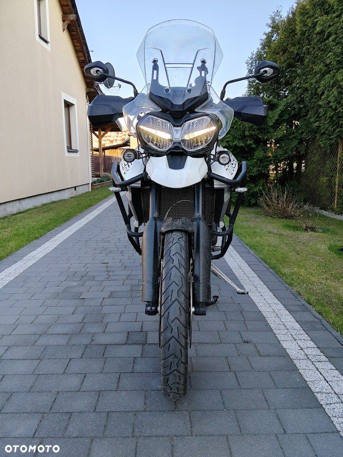 Triumph Tiger - 5