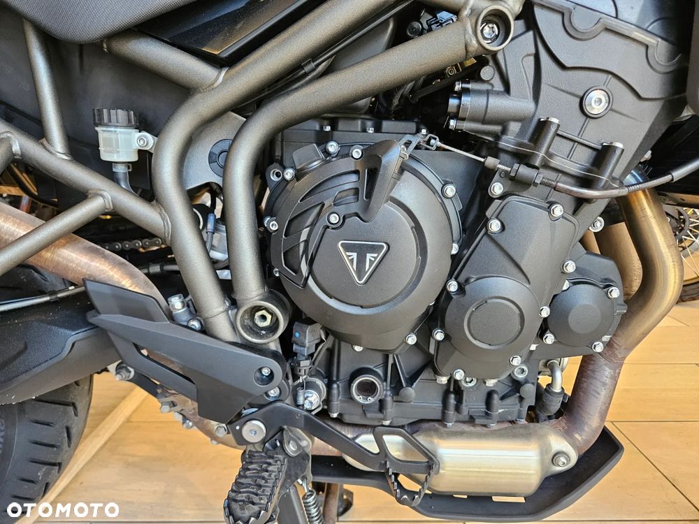 Triumph Tiger - 16