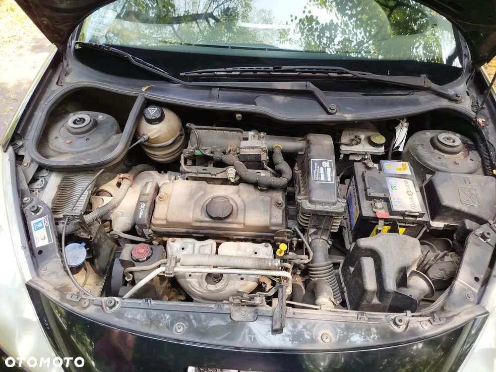 Peugeot 206 plus - 24