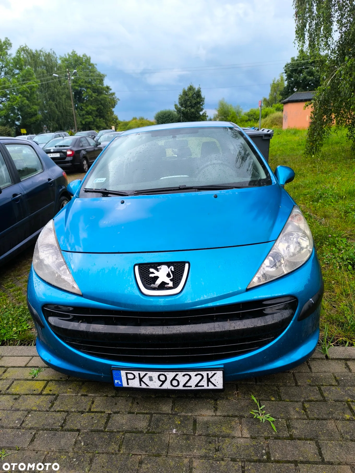 Peugeot 207 - 11