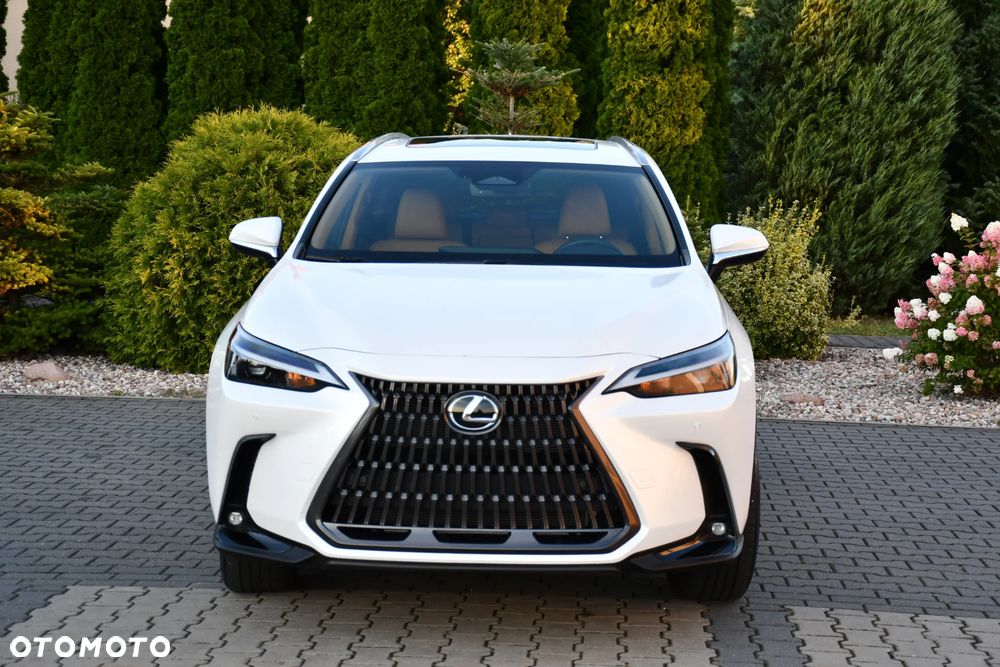 Lexus NX - 20