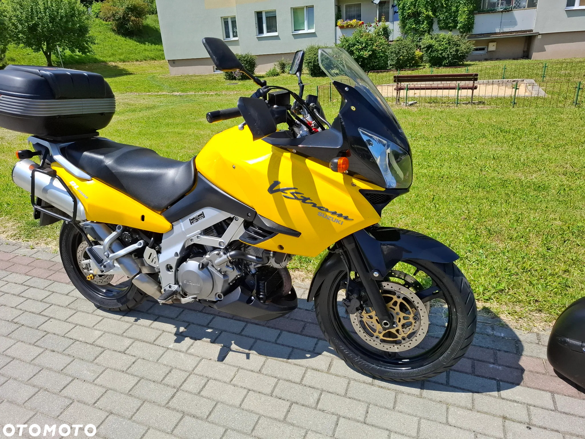 Suzuki DL - 11