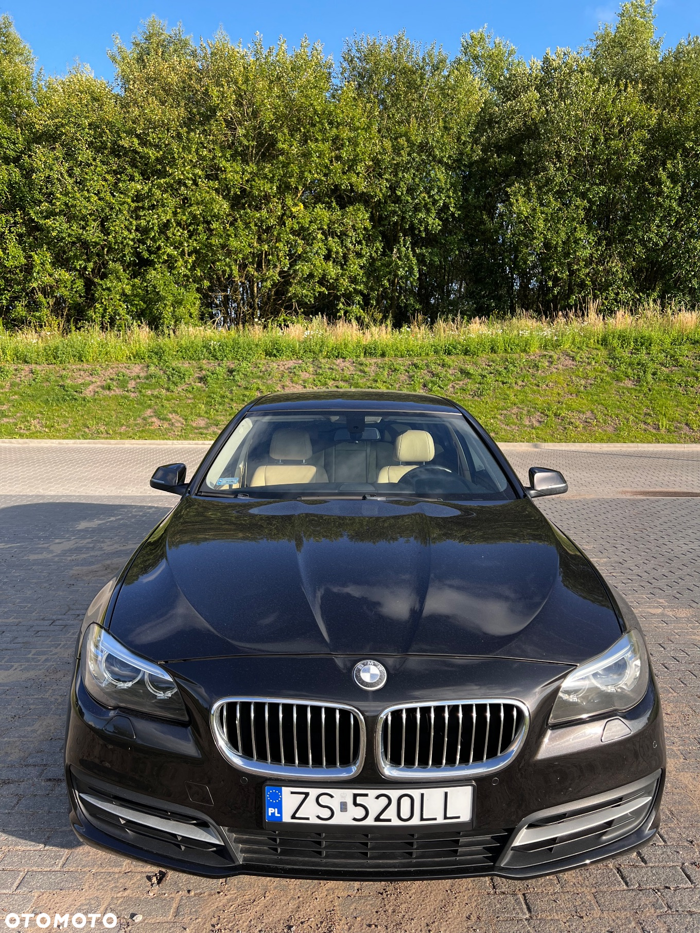 BMW Seria 5 520d Touring - 5
