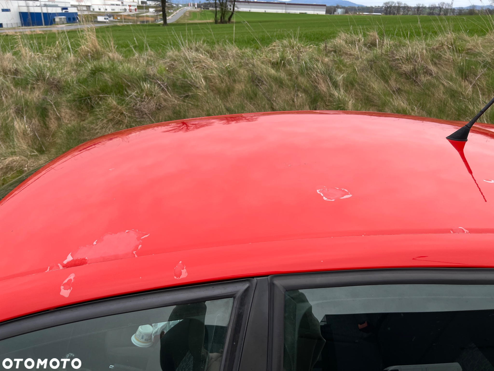Seat Ibiza 1.4 16V 100 Sport - 10