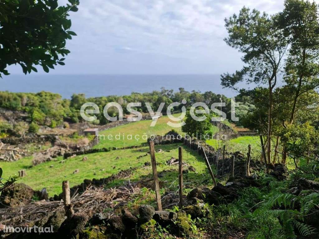 Pequena Ruina em pedra com vista mar em São João do Pico - Grande imagem: 2/15