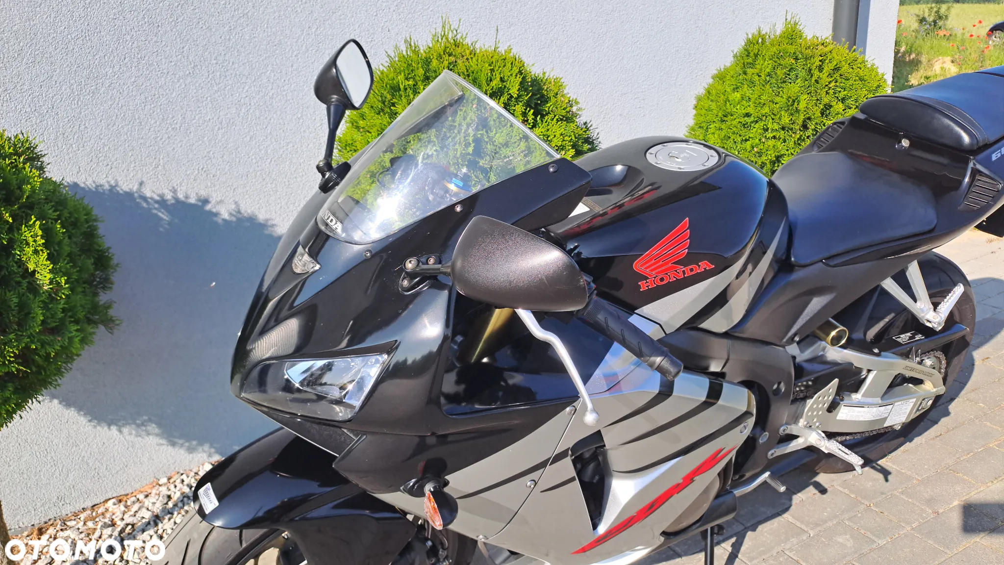 Honda CBR - 31