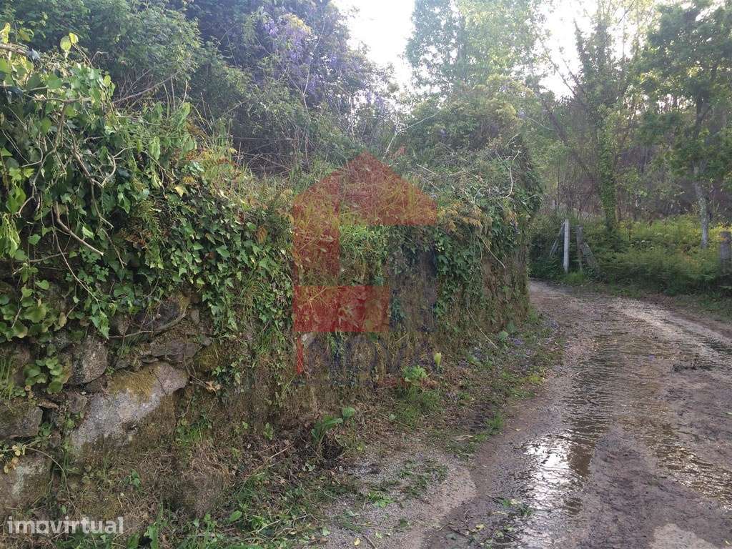 Vende-se Ruina, Carreiras S. Miguel - Grande imagem: 4/12