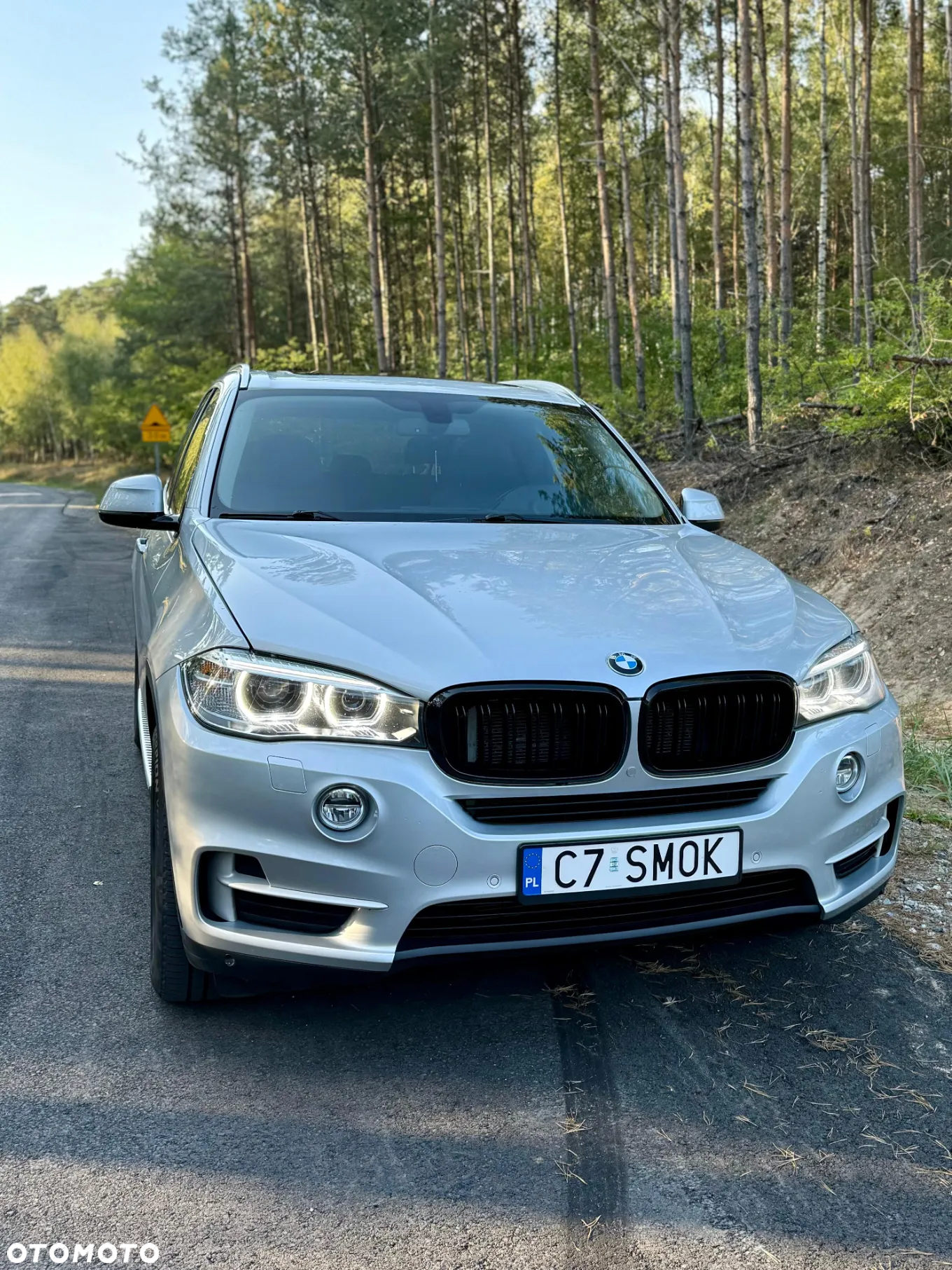 BMW X5 xDrive50i - 13