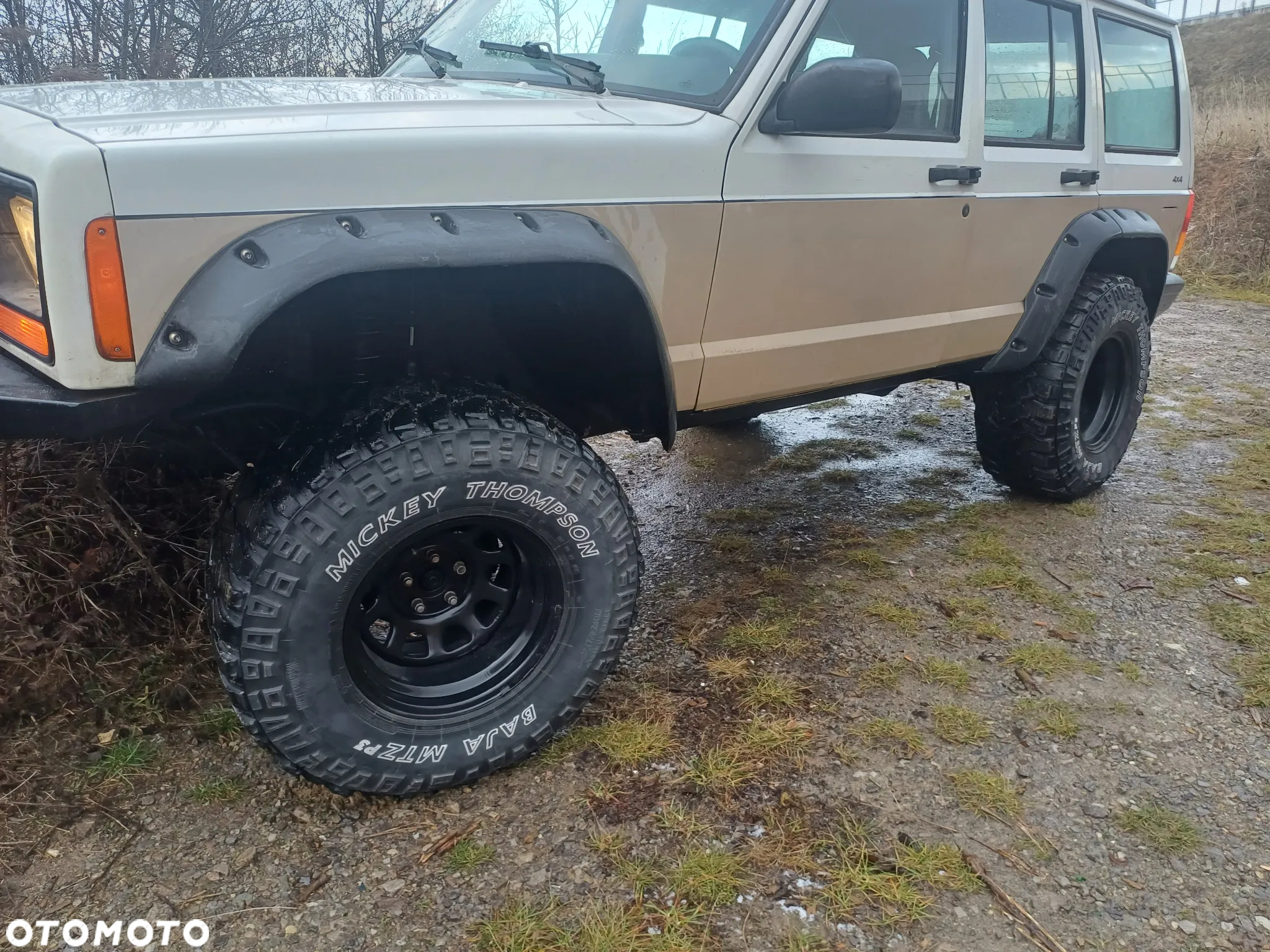 Jeep Cherokee 4.0 Limited - 8