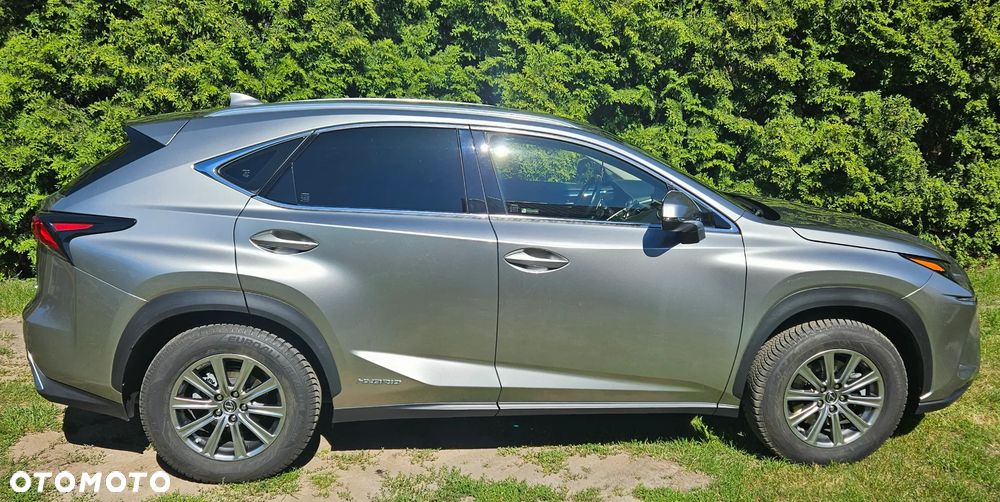 Lexus NX 300h Comfort AWD - 5