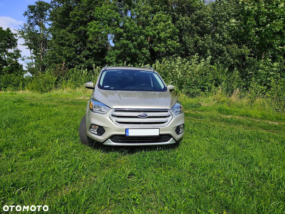 Ford Escape - 7