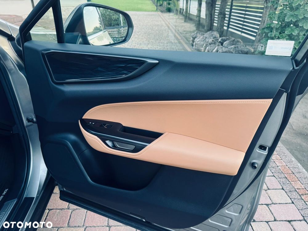 Lexus NX - 23