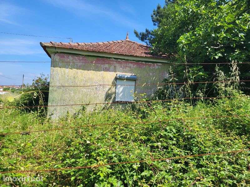 Terreno com 2 ruínas em Mazedo - Grande imagem: 4/4