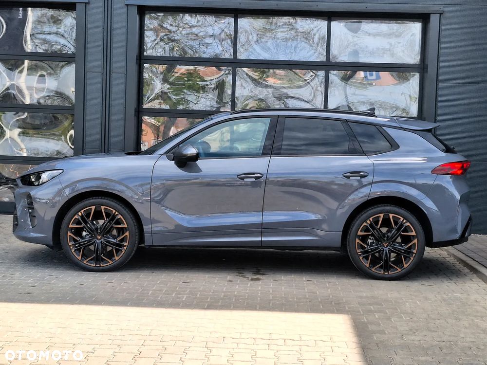 Cupra Terramar - 6