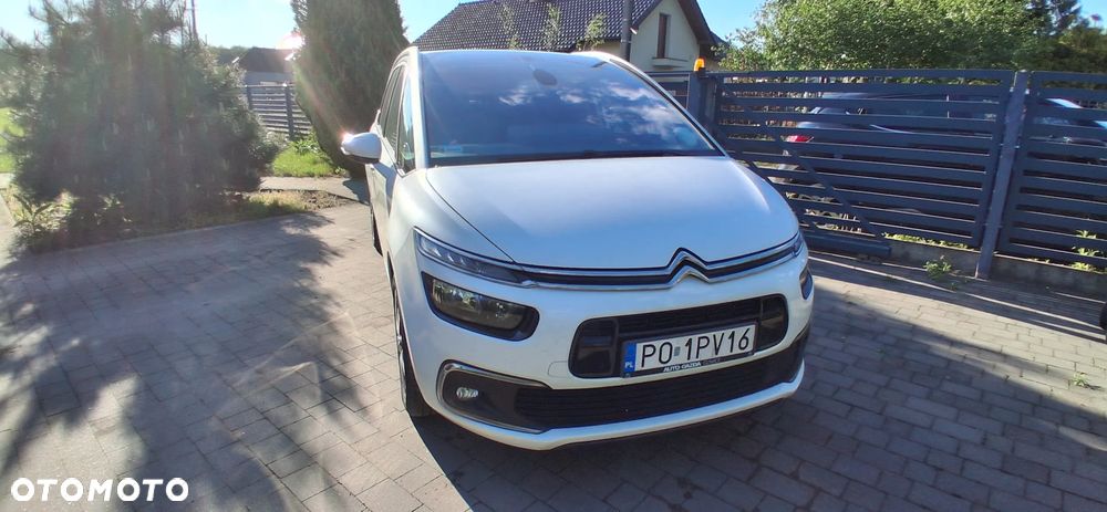 Citroën C4 Grand Picasso 2.0 BlueHDi MoreLife S&S EAT6 - 14