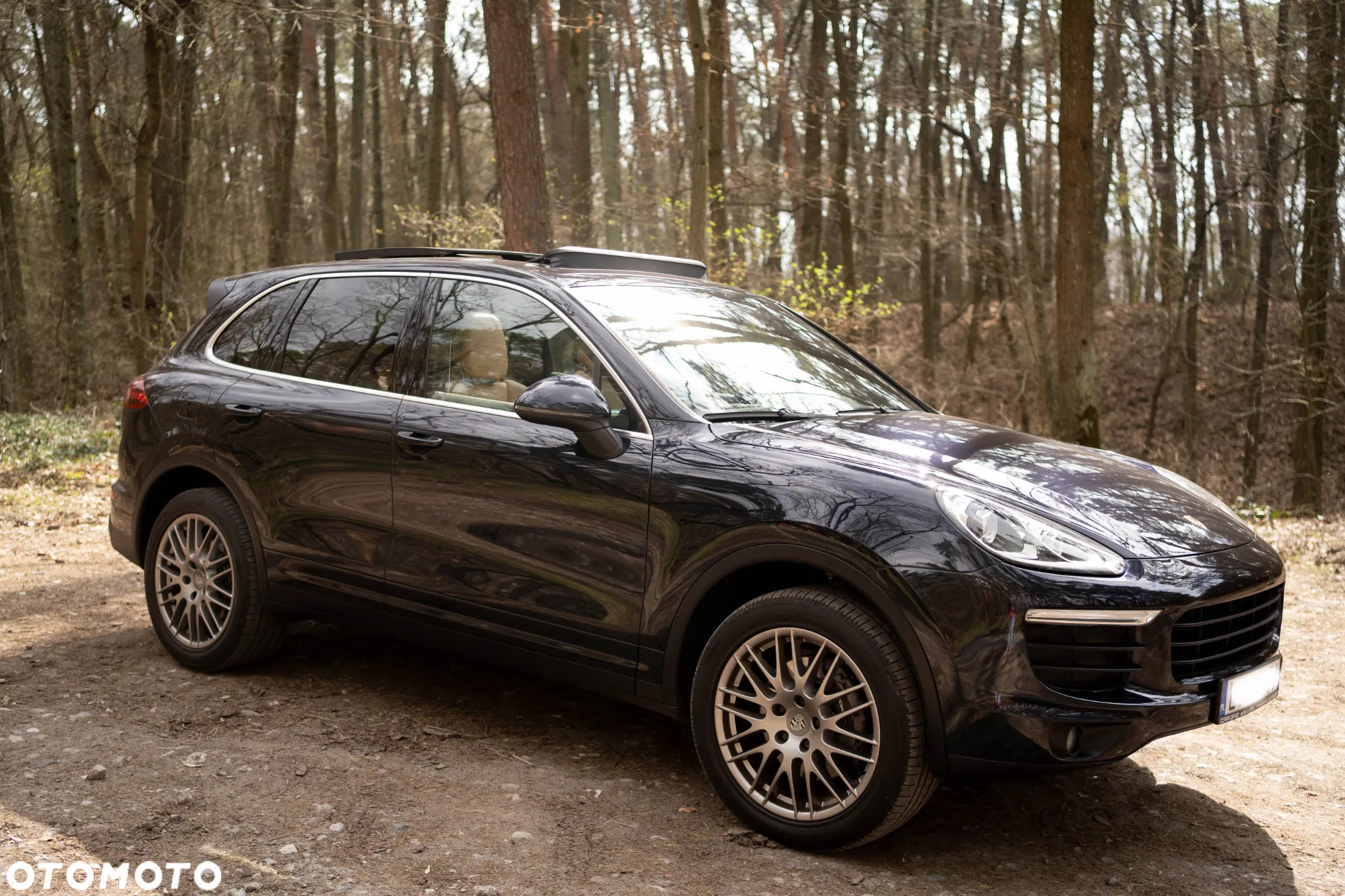 Porsche Cayenne Platinum Edition - 6