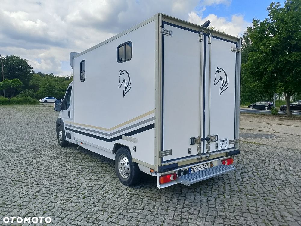 Fiat Ducato Koniowóz - 7