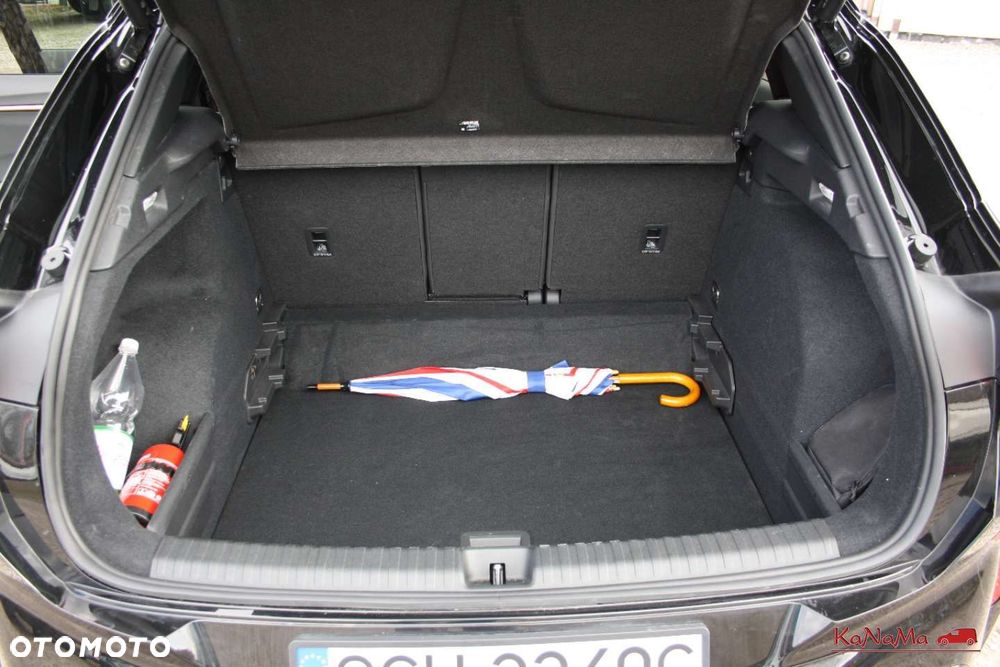 Cupra Terramar - 11