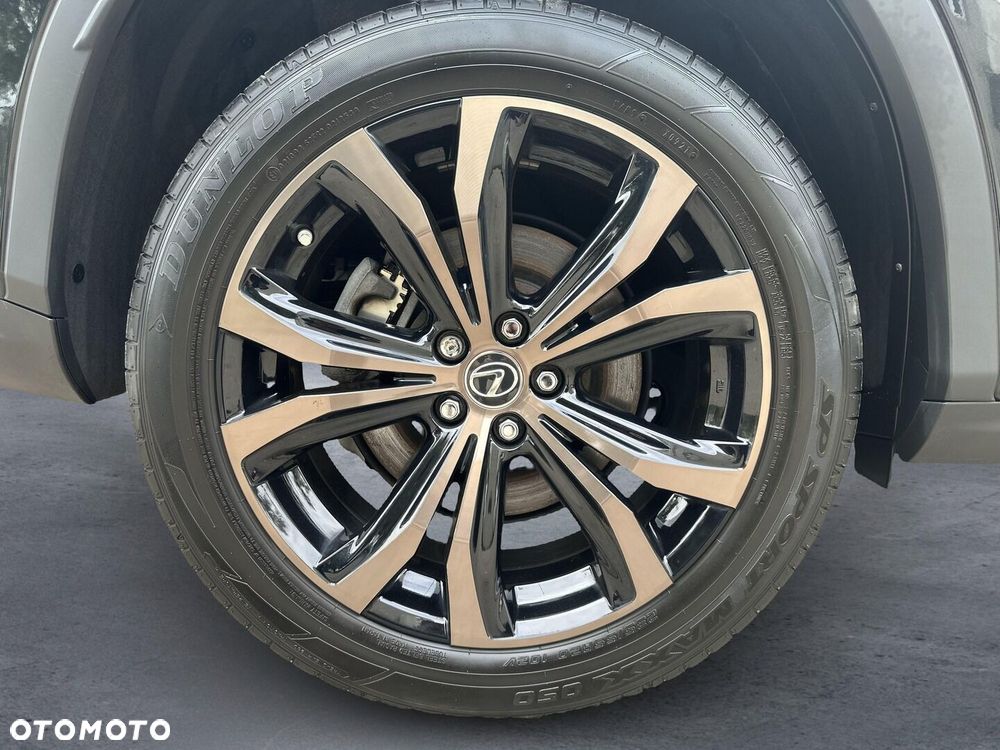 Lexus RX 450h F-Impression - 19