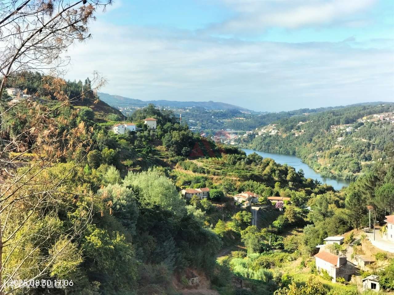 Terreno Rústico com 18.384 m2 em São Martinho de Sardoura – Castelo de - Grande imagem: 3/10