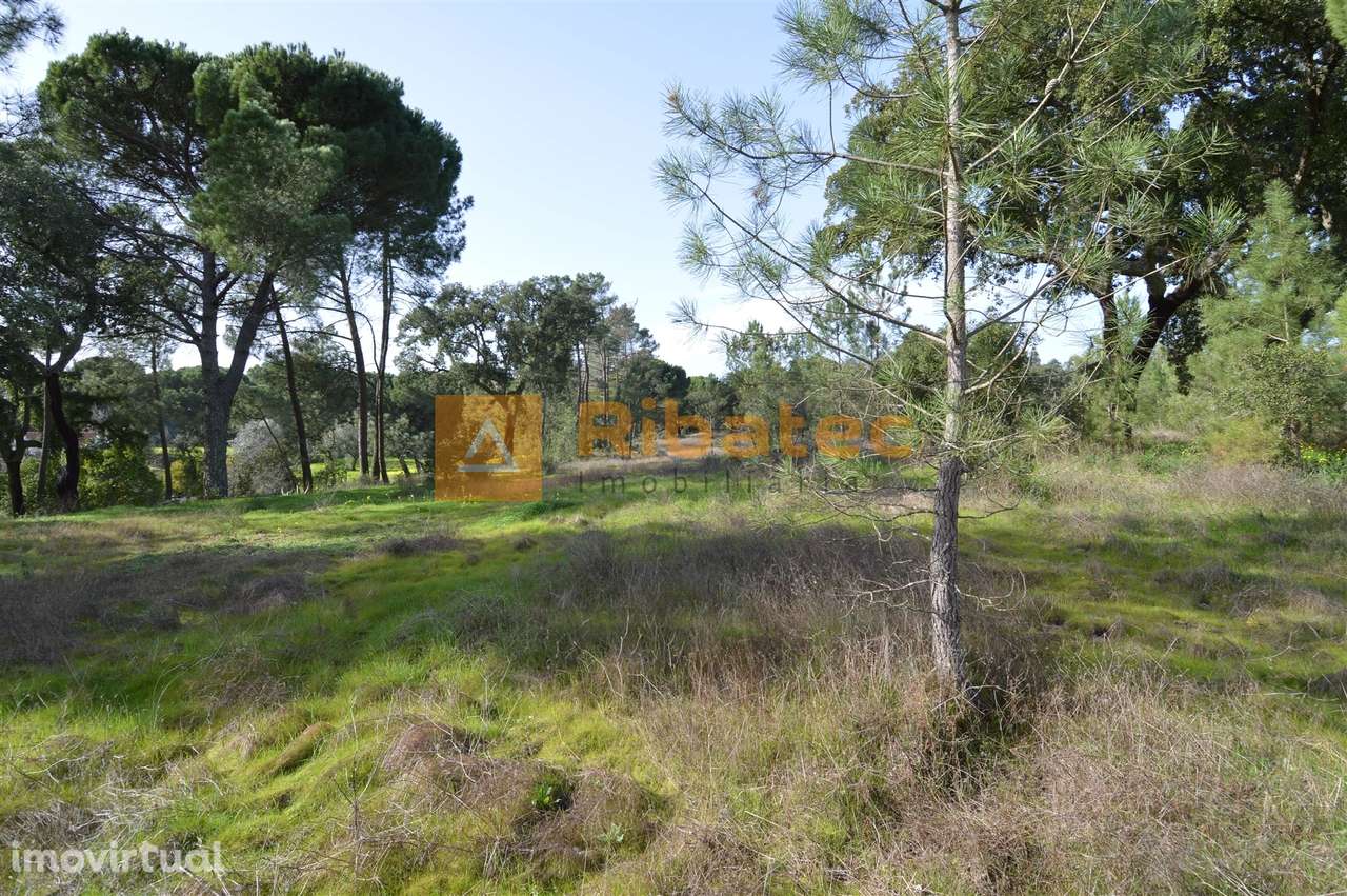 Terreno para construção no Valverde - Grande imagem: 3/13