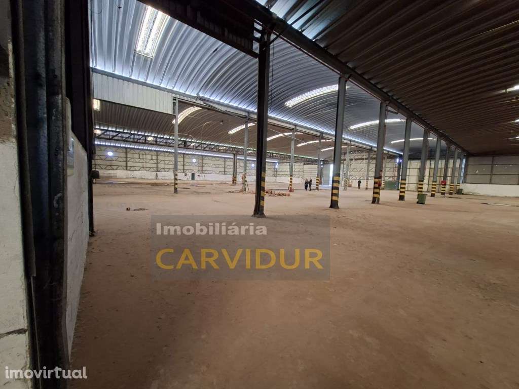 Armazém Industrial de Grande Dimensão - Parque Industrial da Mitren... - Grande imagem: 4/25