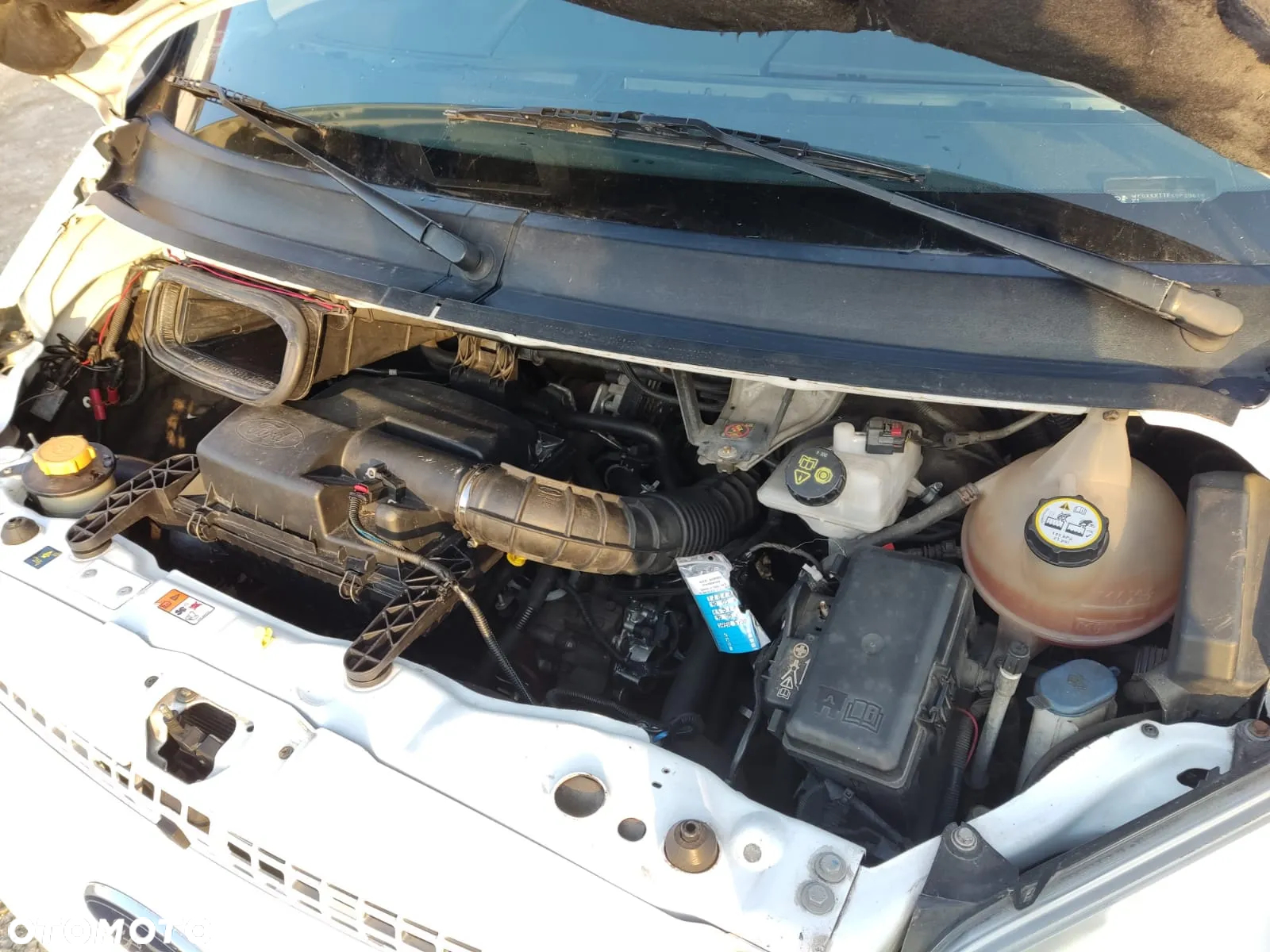 Ford Transit - 6