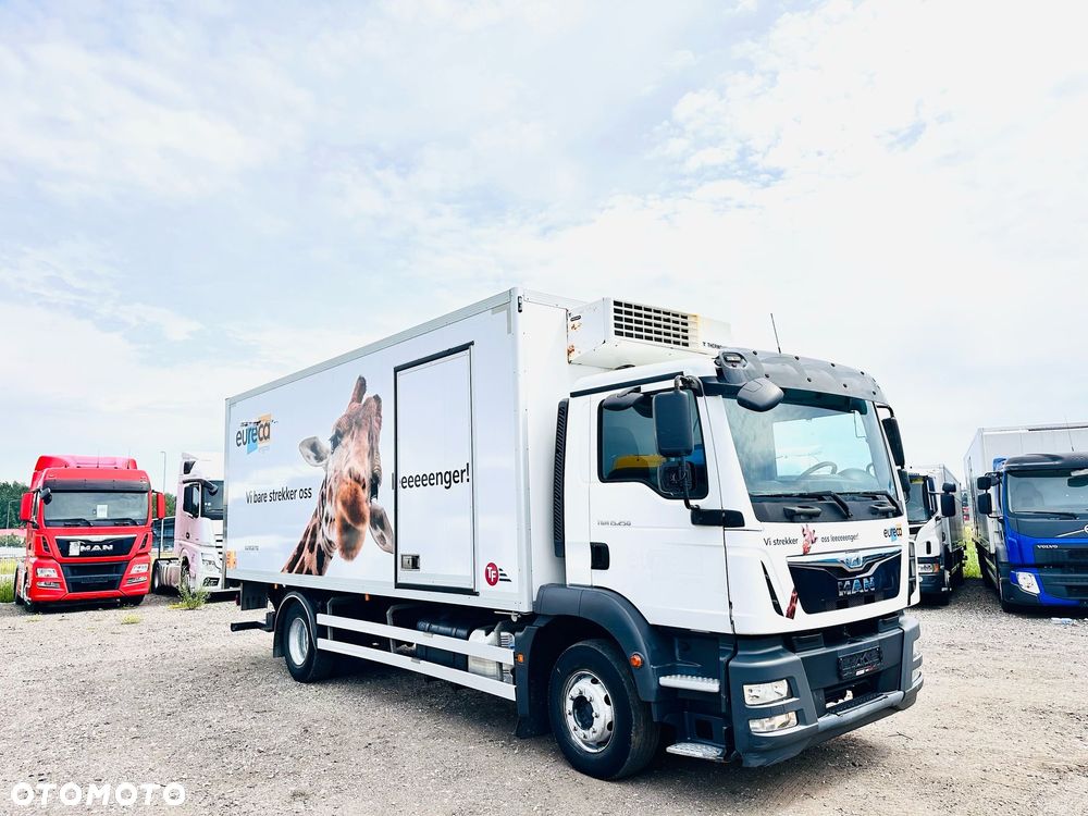 MAN TGM 15.250 / MULTITEMPERATURA / WINDA / DMC 15500kg - 3